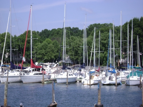 Line of Docked Sail Boats